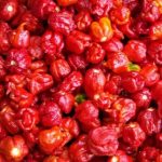 10 Hottest Peppers in the World According to Scientists